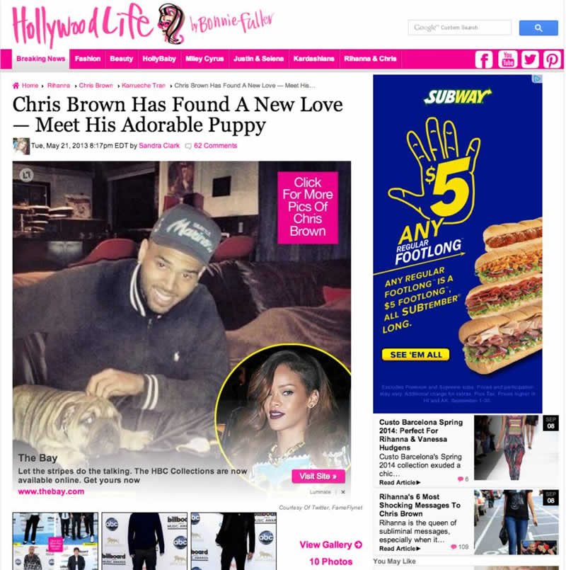 Chris Brown with new puppy on HollyWood Life