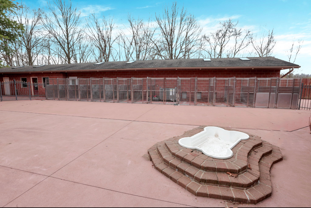 Kennel properties for sale